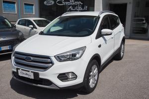 Ford Kuga 1.5 Benzina 120 CV Business del 2019