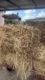 ballette  di foraggio e primo sfalcio erba medica