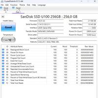 SSD Sandisk SDSA5JK-256G x ASUS Zenbook UX21 UX31