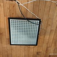 Lampada per crescita piante
