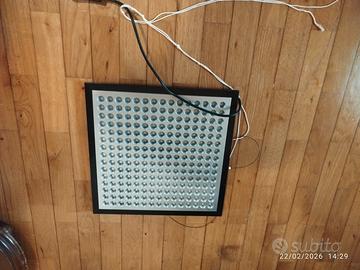 Lampada per crescita piante