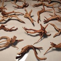 Legni Spiderwood per acquario
