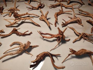 Legni Spiderwood per acquario