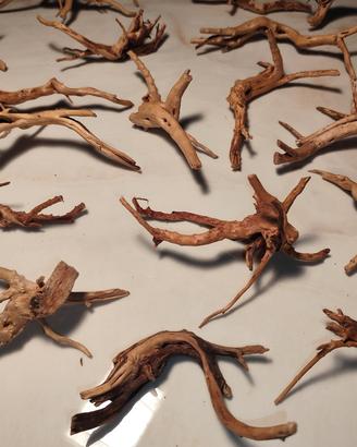 Legni Spiderwood per acquario