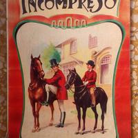 Libro per ragazzi illustrato Incompreso Ed Boschi