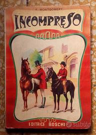 Libro per ragazzi illustrato Incompreso Ed Boschi