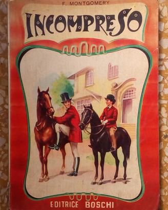 Libro per ragazzi illustrato Incompreso Ed Boschi