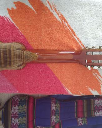 Charango Armadillo.