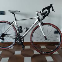 Titolo BICI DA CORSA CANNONDALE SYNAPSE