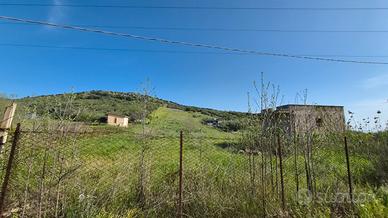 Terreno agricolo Bagheria Ter/72