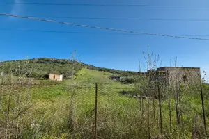 Terreno agricolo Bagheria Ter/72