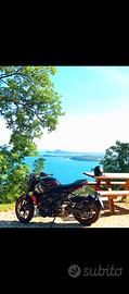 Triumph trident 660 del 2024