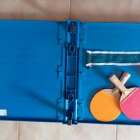 Ping pong tavolo mini