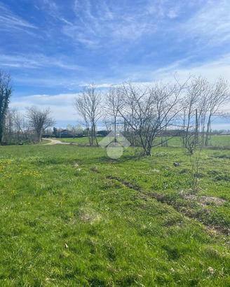 TER. AGRICOLO A CERRIONE