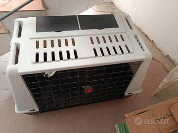 Kennel cani trasporto