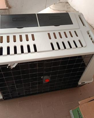 Kennel cani trasporto