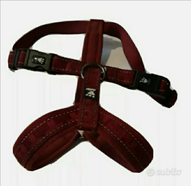 Pettorina cane rossa 45-55 cm