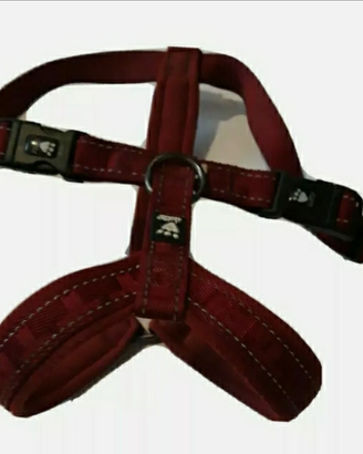 Pettorina cane rossa 45-55 cm