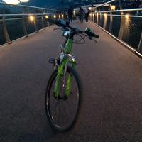 MTB 24