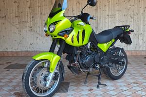Triuph Tiger 955i 