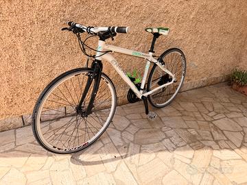 Bici ibrida