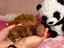 Immagine 6