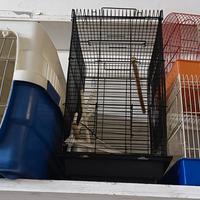 Gabbie per uccelli e trasportino