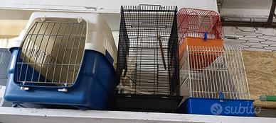 Gabbie per uccelli e trasportino