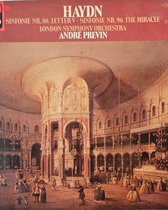 Disco in vinile  33 giri