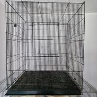 Voliera per pappagalli