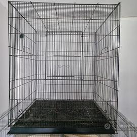 Voliera per pappagalli