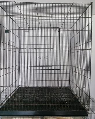 Voliera per pappagalli