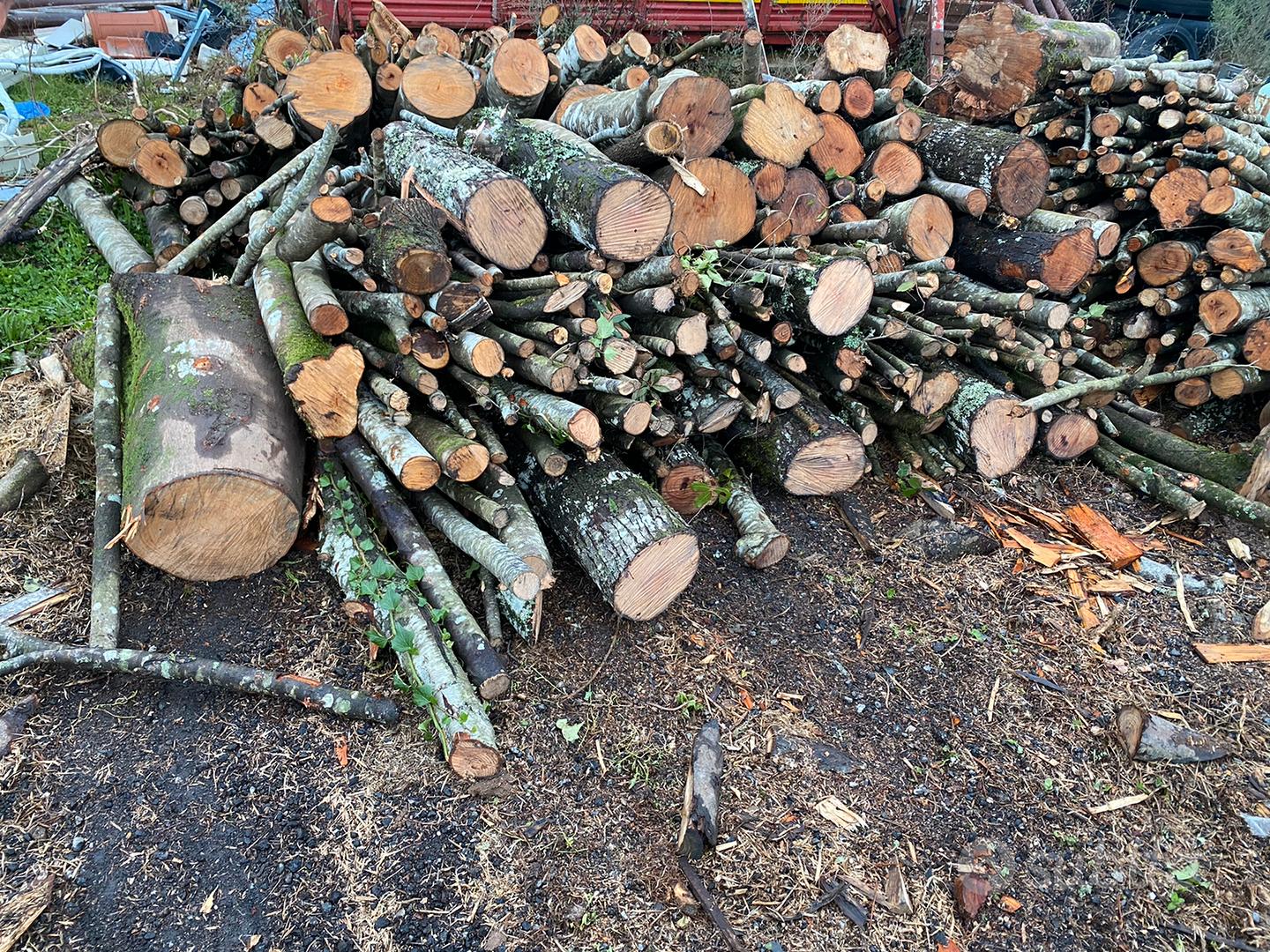 Legna da ardere (Faggio ontano quercia leccio) - Giardino e Fai da te In  vendita a Vibo Valentia