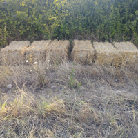 Ballette paglia di grano