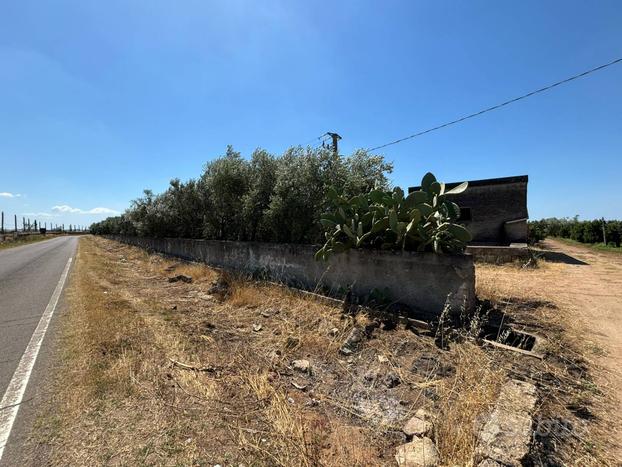 Terreno Agricolo - Massafra