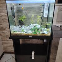 acquario juwel 120 l 