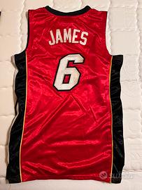 Canotta LeBron James Miami Heat