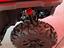 Immagine 11