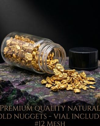 Lotto di Pepite d’Oro Naturale – Alaska, USA