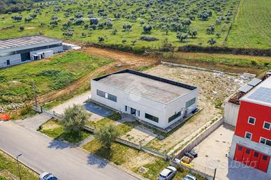 CAPANNONE A CELLINO ATTANASIO