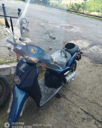 Scarabeo 50