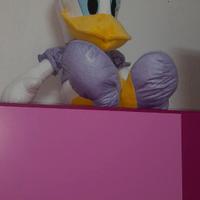 PAPERINA DISNEY GRANDE