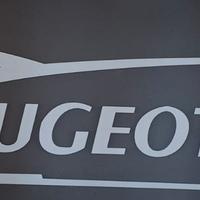 Fascia adesiva parasole Peugeot 