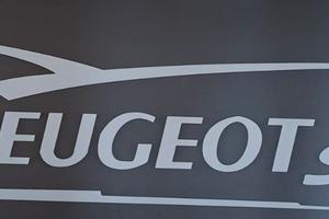 Fascia adesiva parasole Peugeot 