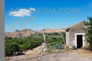 Agrumeto Zona Schettino