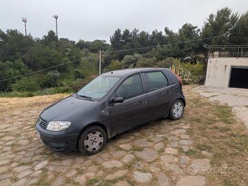 Punto 1.3 Multijet 16V 5 porte Active