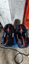 manubri bowflex 2-24 kg