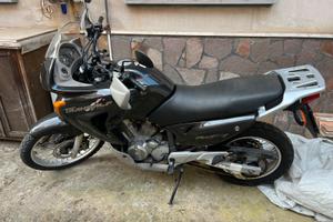 TRANSALP 650