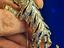 Immagine 4