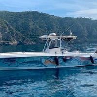 Wellcraft SCARAB 35 TOURNAMENT